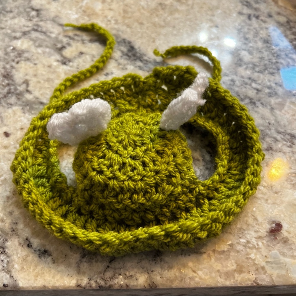 🐾 Handcrafted Crochet Hats for Pets 🧶💚